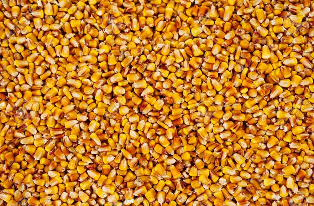 bolsa-para-almacenar-cosecha