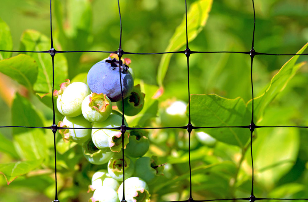malla-proteccion-de-cultivos