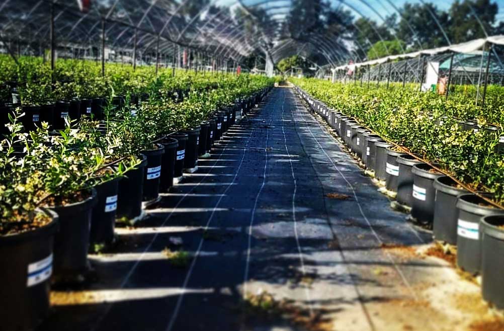 Malla Sombra Protección Solar