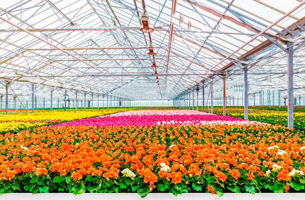 malla-transporte-de-flor