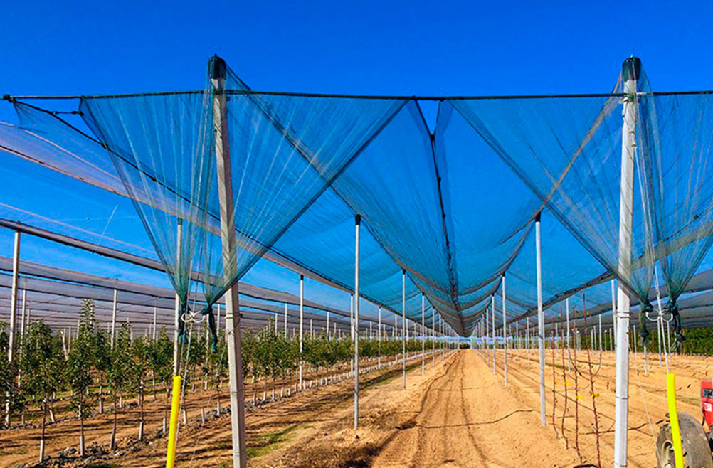 proteccion-de-huertos