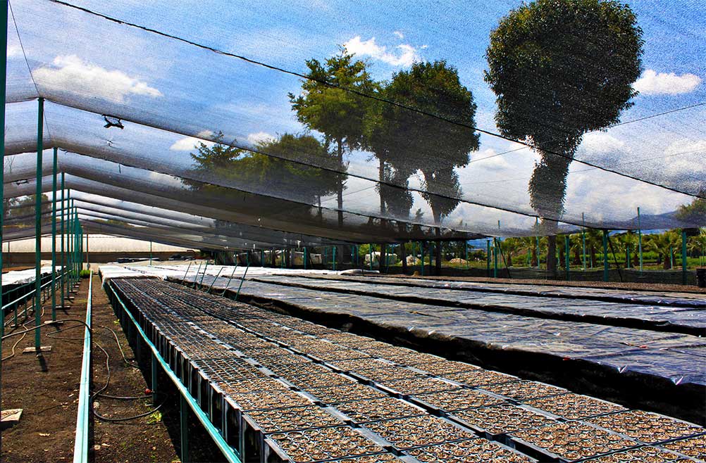 Malla Sombra para Invernaderos