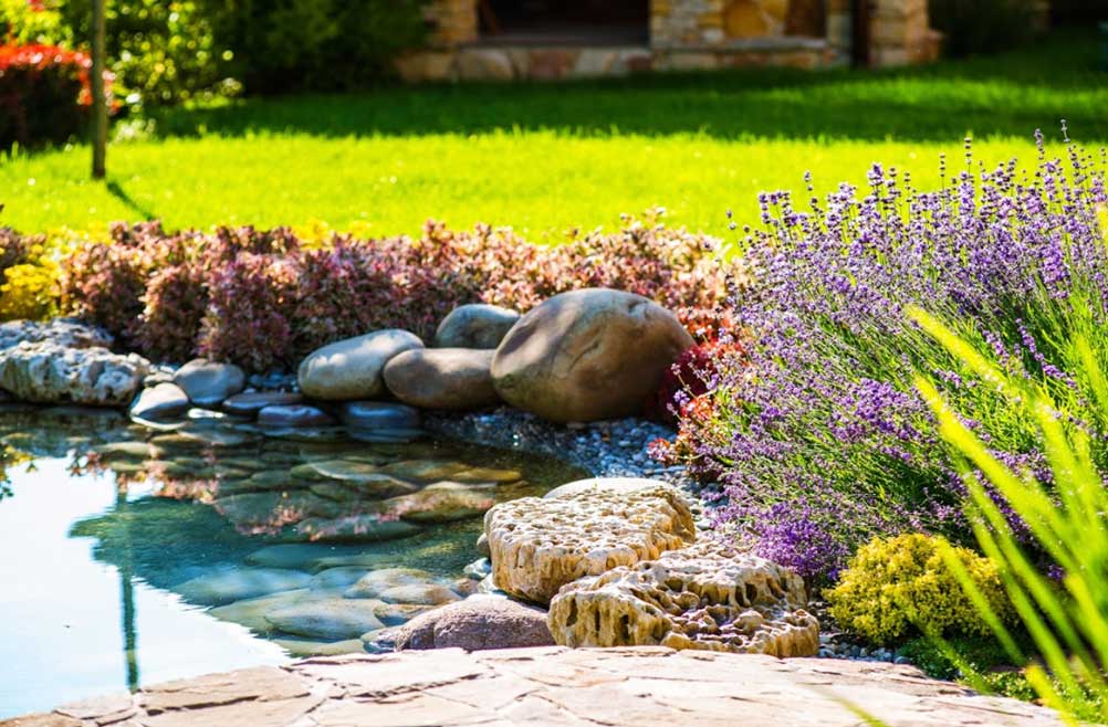 corteza-de-pino-decorativo