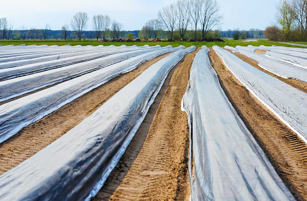 rollo-de-plastico-negro-para-cultivos-e-invernaderos