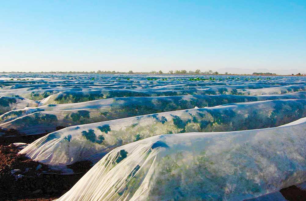 tela-antiheladas-para-cultivos